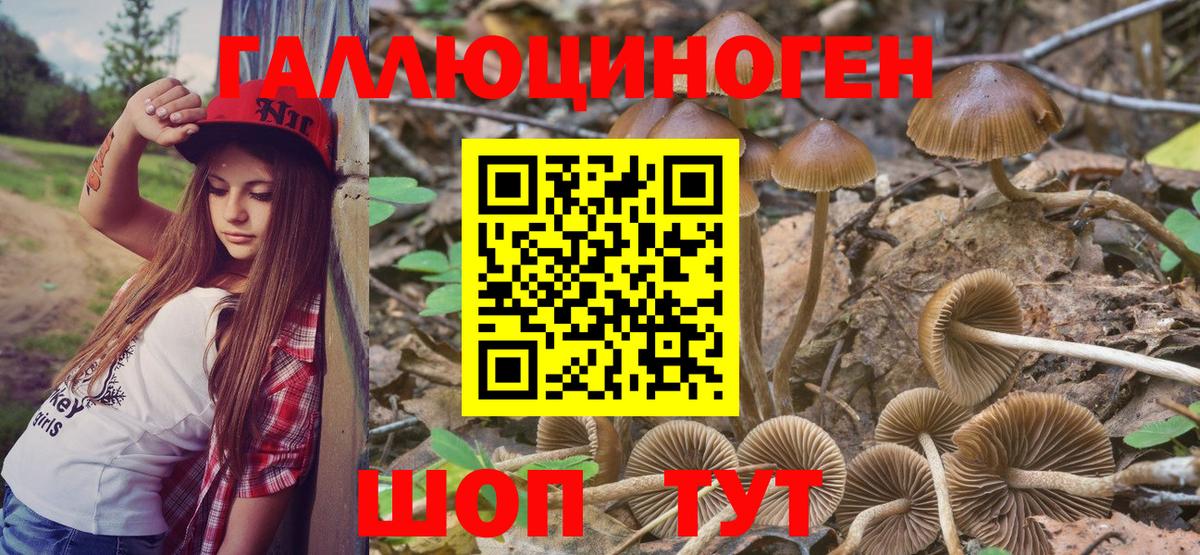 Галлюциногенные грибы мухоморы Ливны