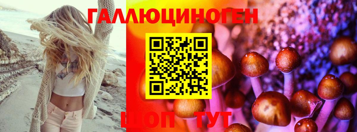 Ливны  Псилоцибиновые грибы ЛСД  Вход с VPN 